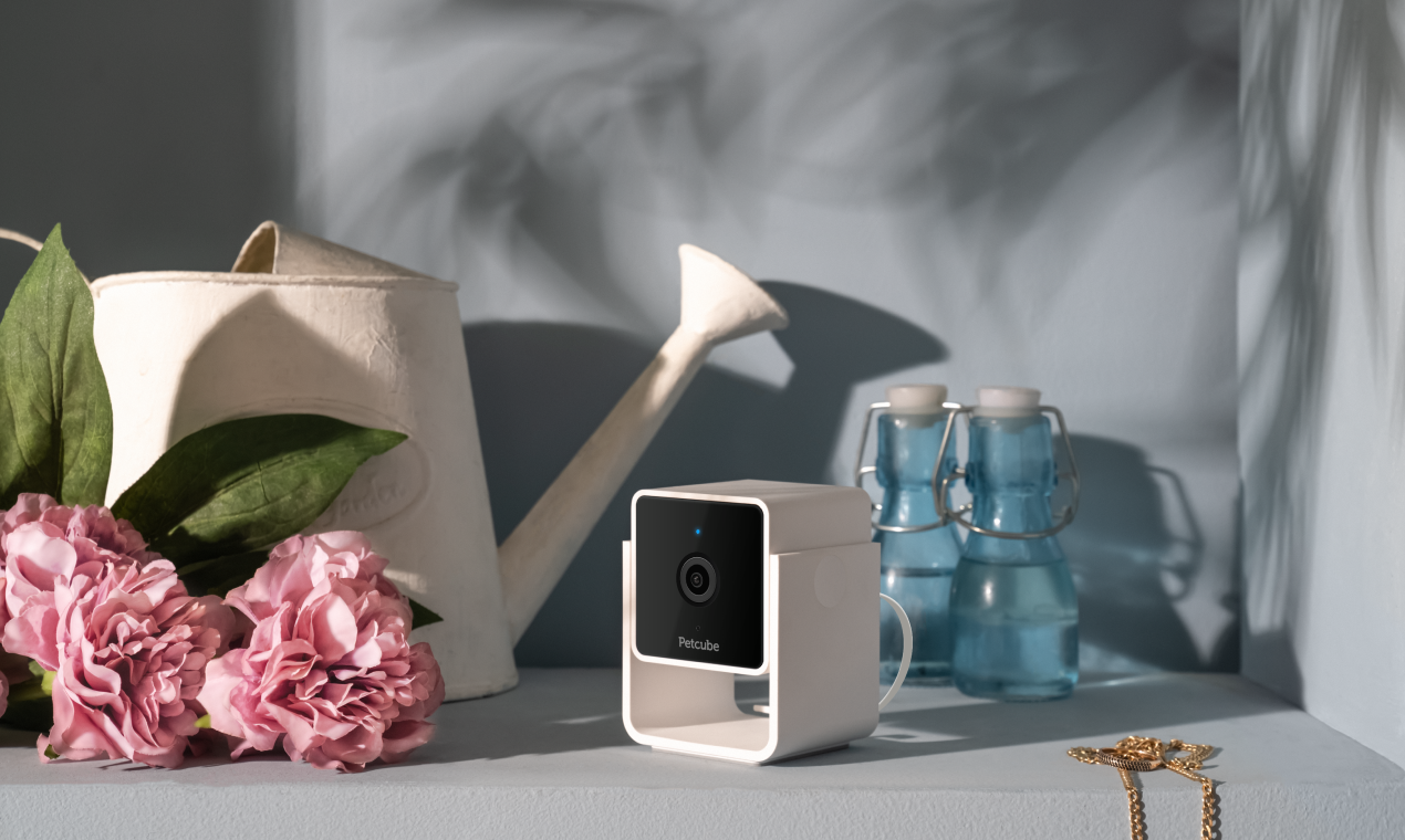 Petcube Cam gallery image