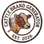 CattleBrandAI