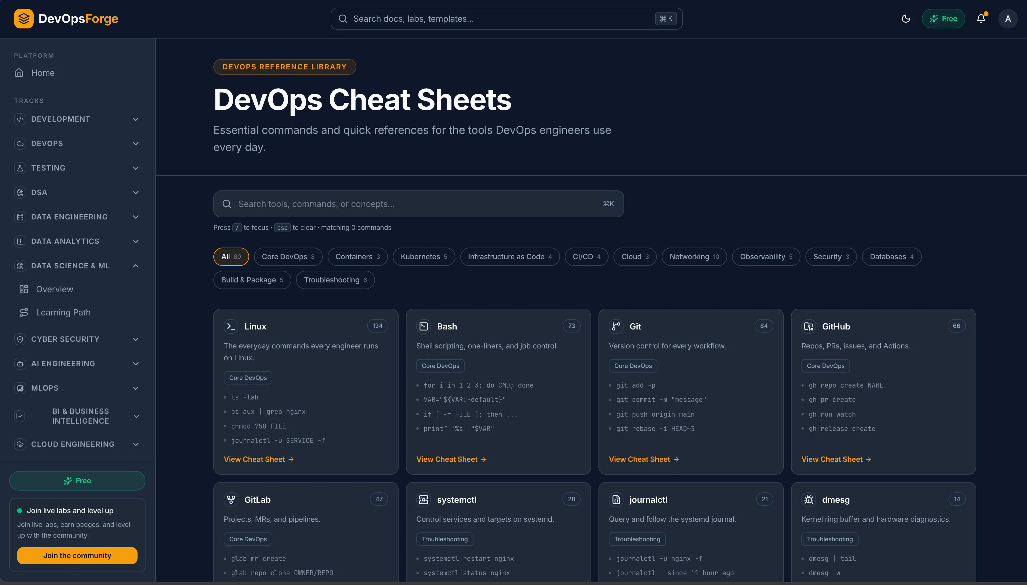 DevOpsForge gallery image