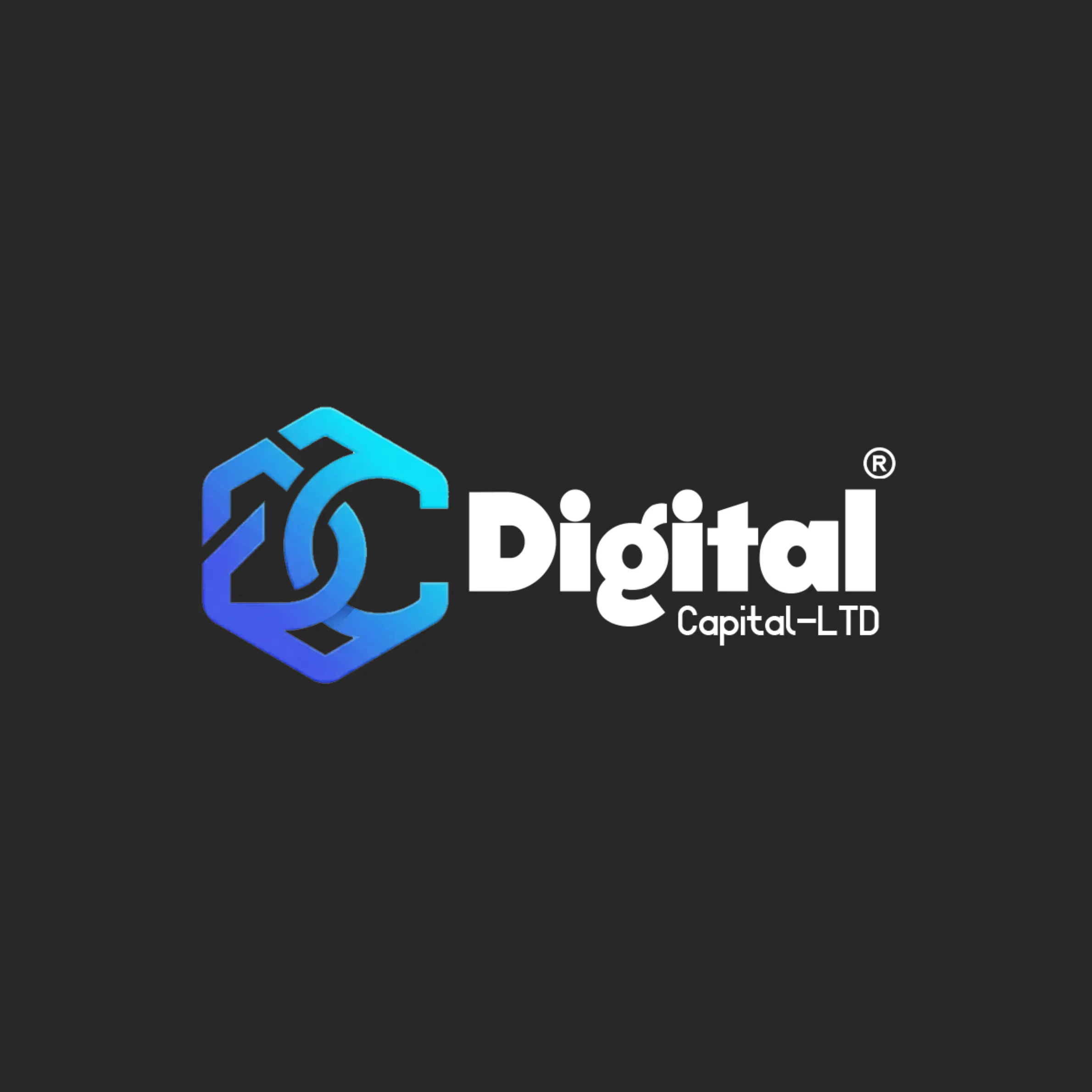Digital Capital Ltd gallery image