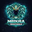 MedusaSMMTools