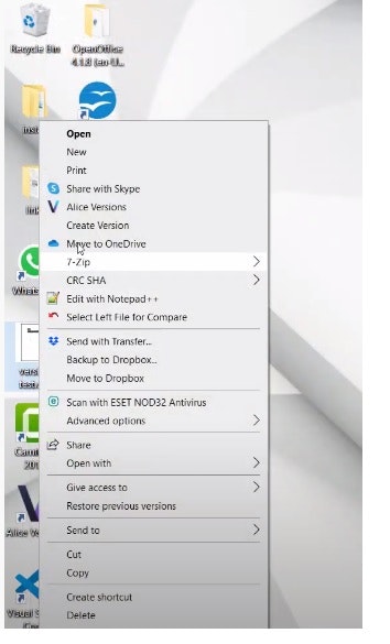 Alice Versions gallery image