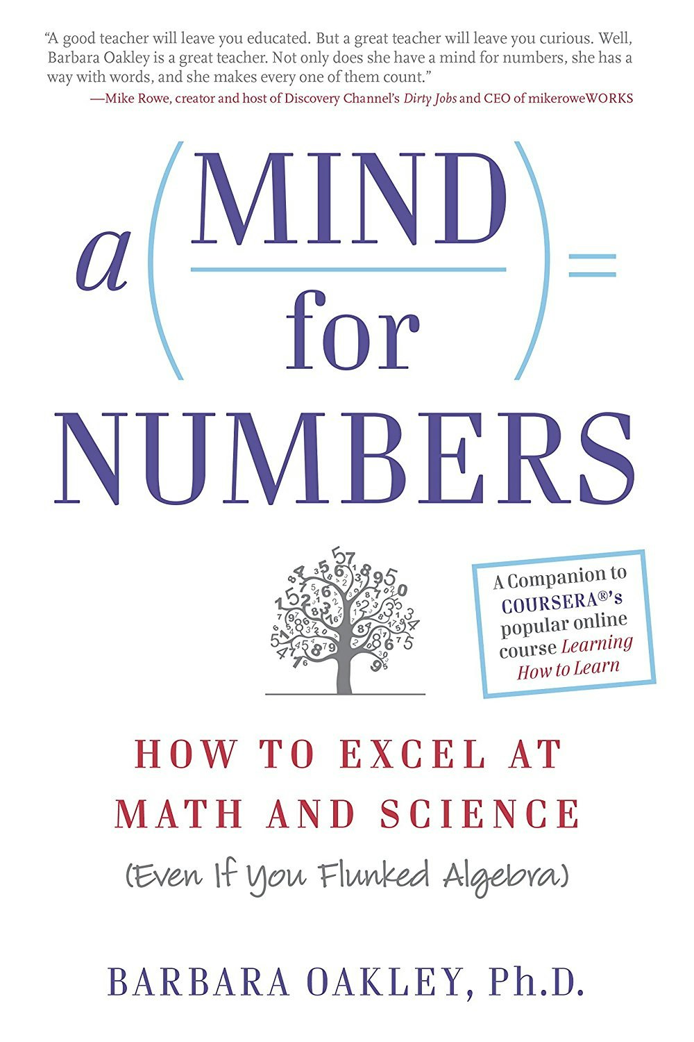 A Mind For Numbers