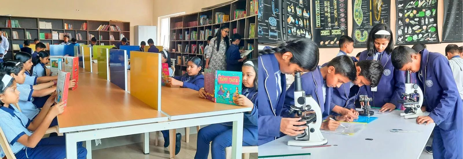 A Place to Study and Shine gallery image