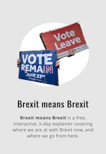 Brexit means Brexit gallery image