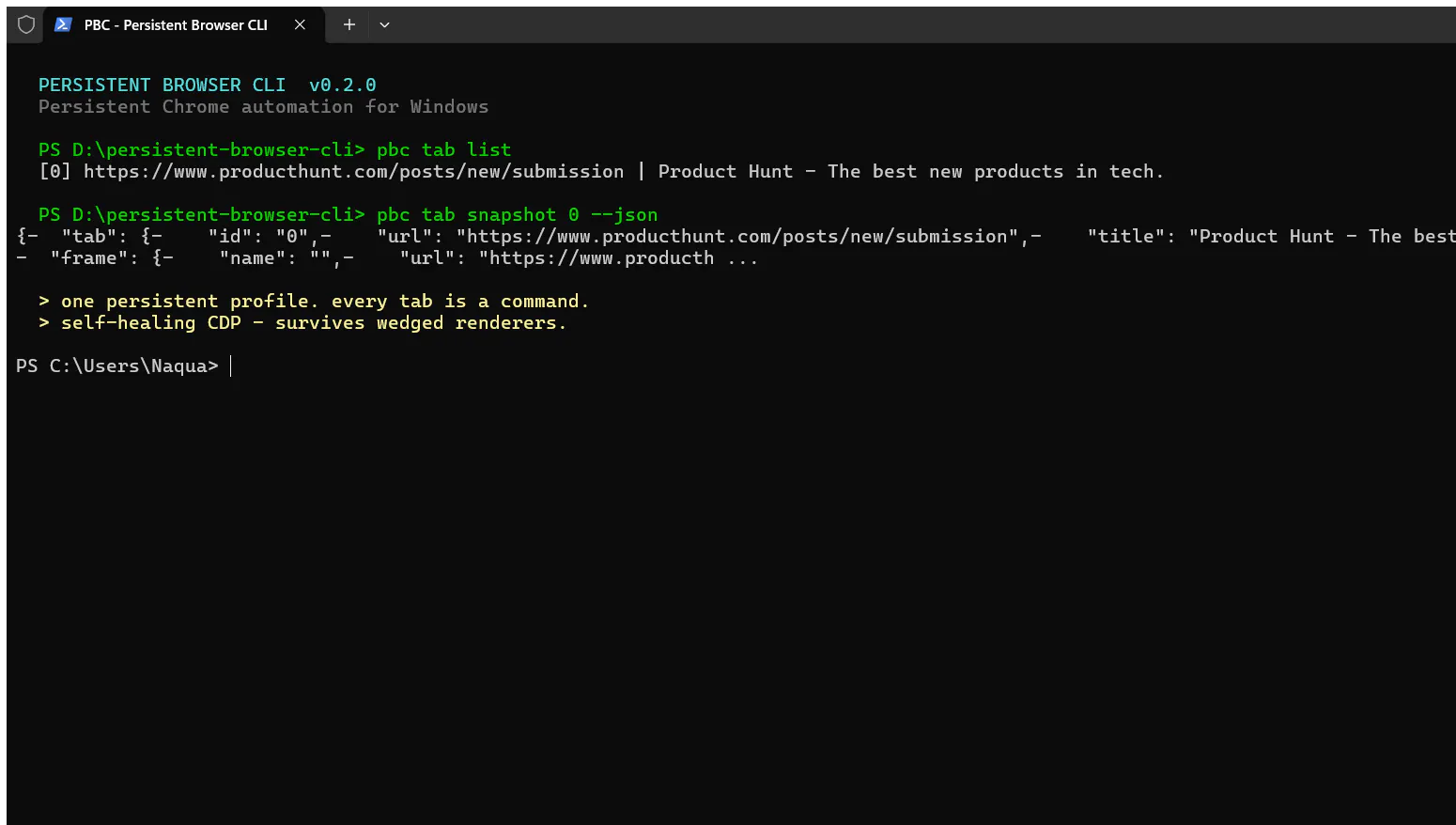Persistent Browser CLI (PBC) gallery image