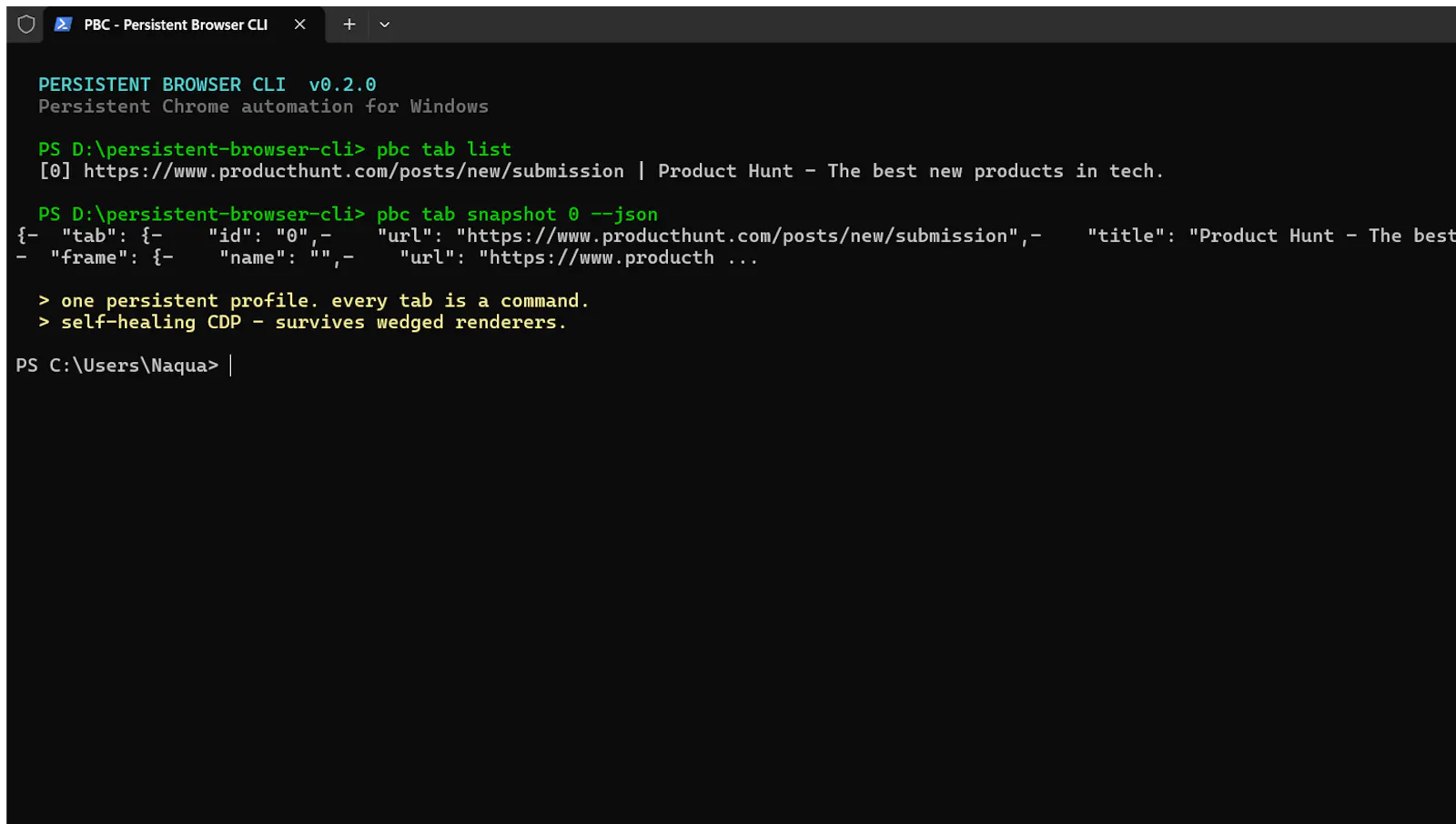 Persistent Browser CLI (PBC) screenshot 3