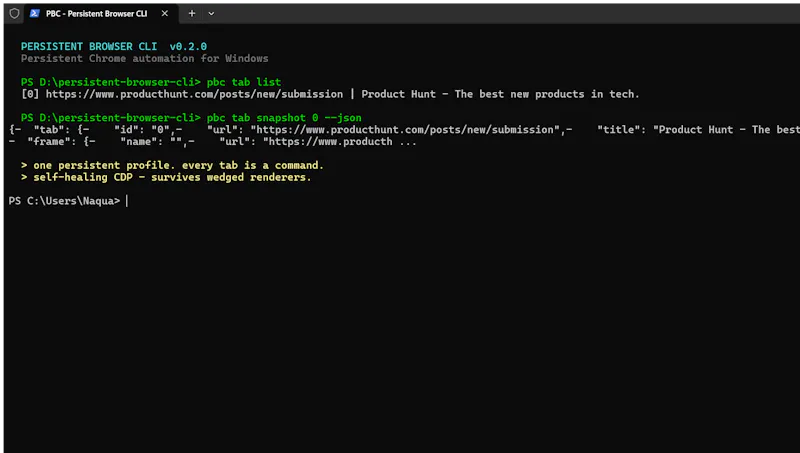 Persistent Browser CLI (PBC) screenshot 3