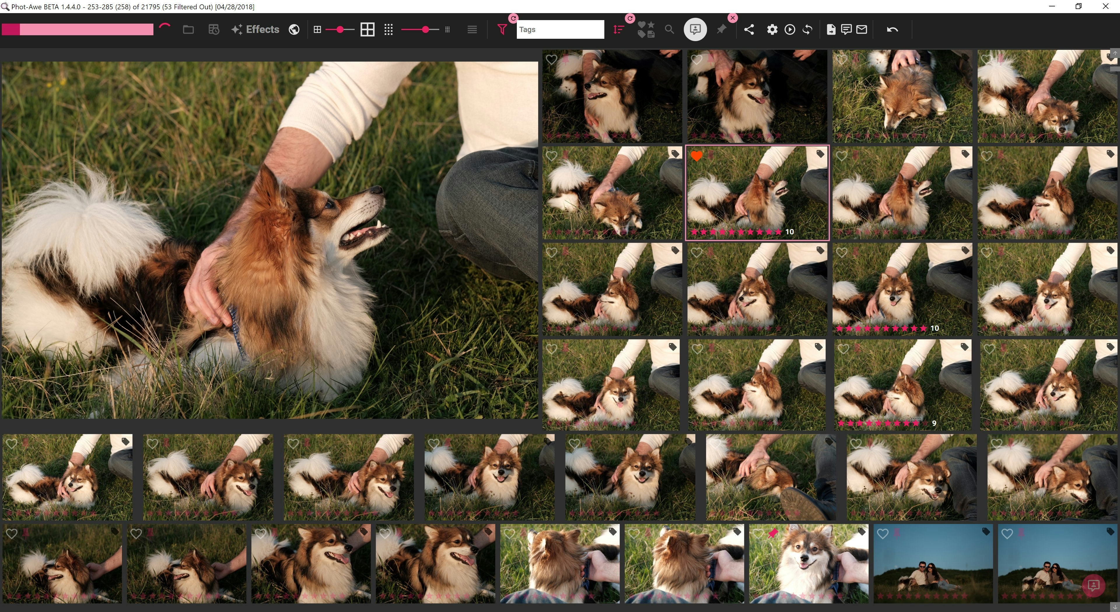 Phot-Awe gallery image