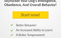 Make your dog smarter media 2