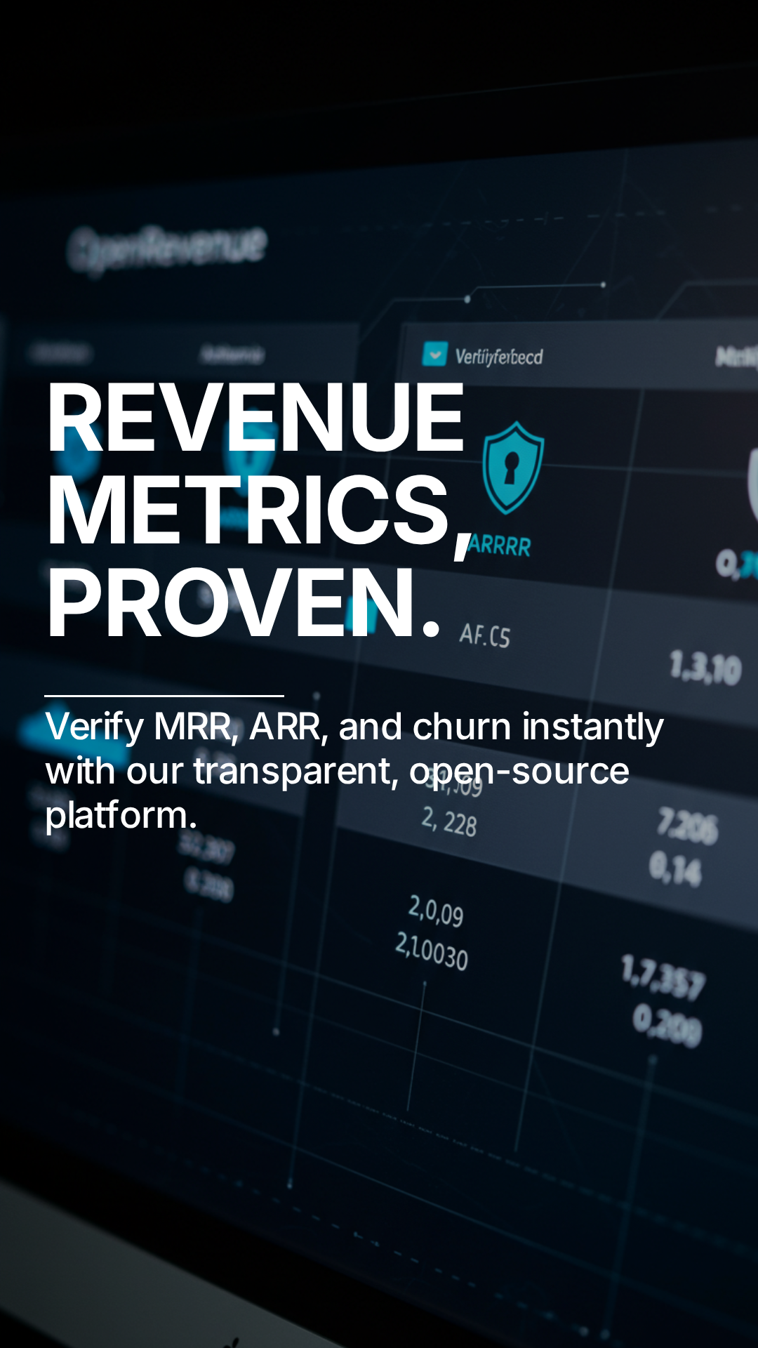 OpenRevenue - Screenshot 4 preview
