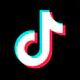 TikTok Video Downloader