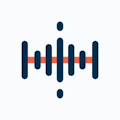 VoiceGist