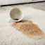 Upholstery cleaning services