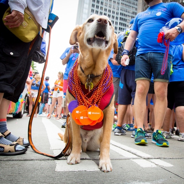 Product Hunt - 80 x 80 jpeg 2kB