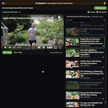 Bingelister gallery image