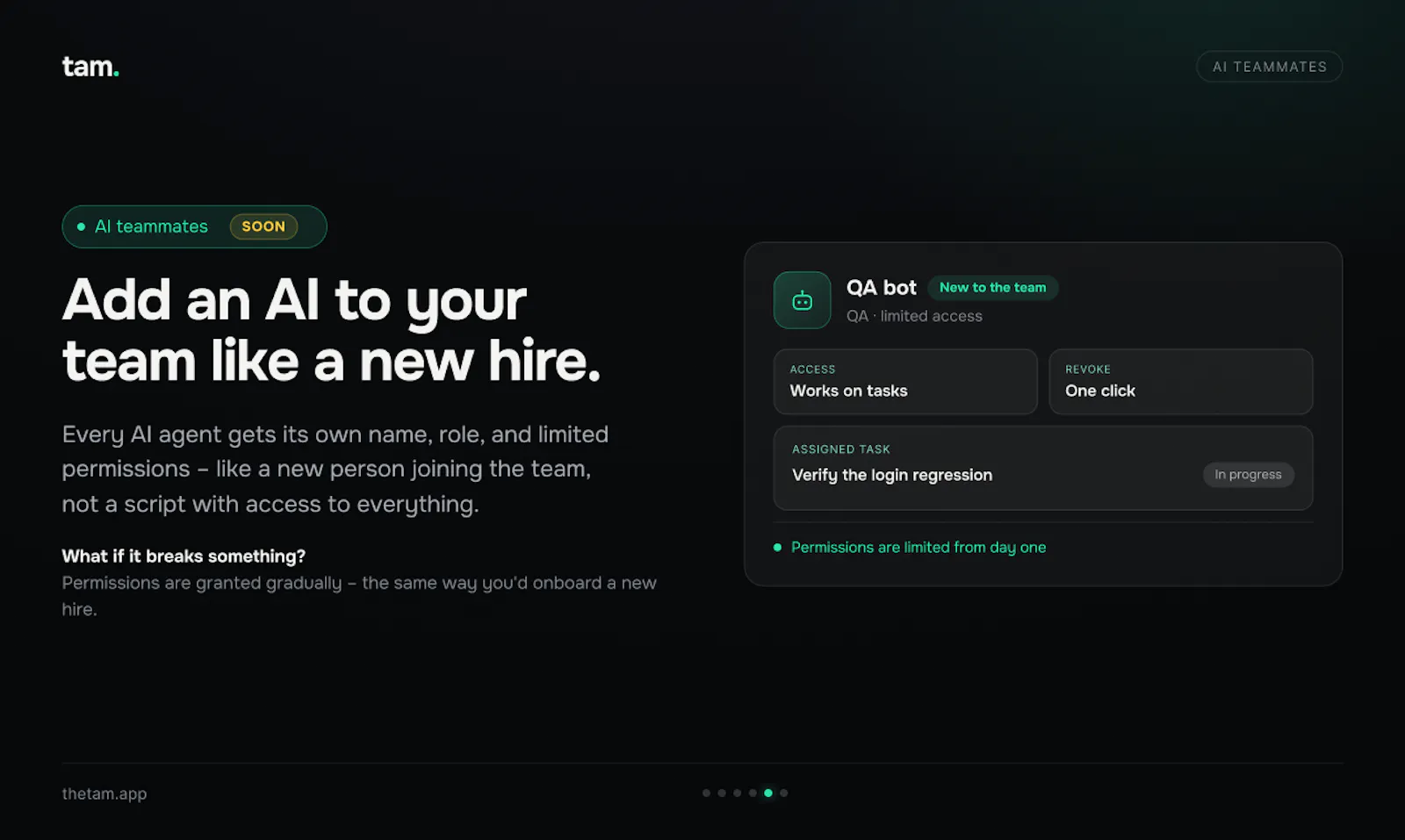 tam screenshot 7