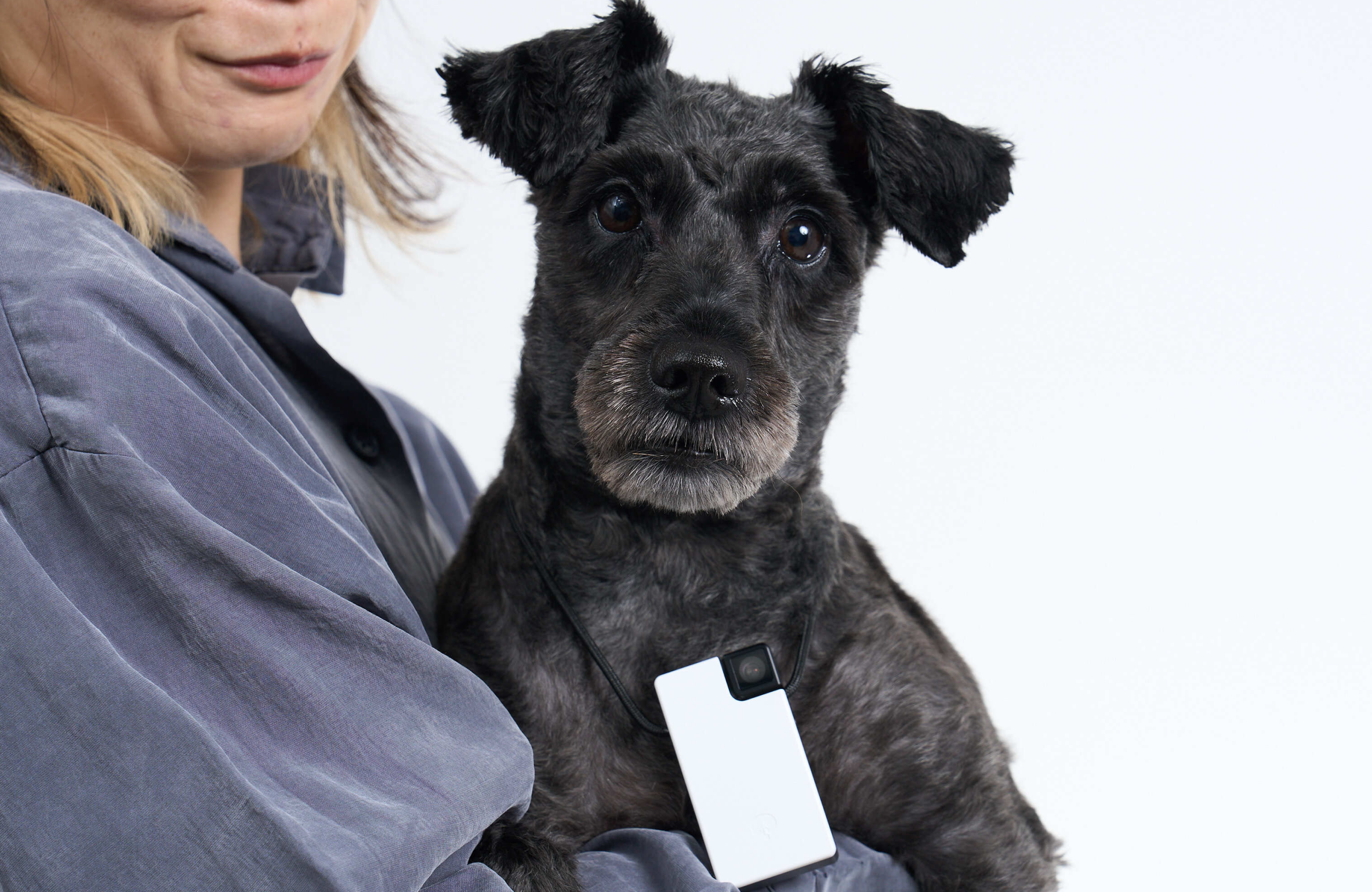 Mídia 6 de Saveclip - The clip camera that remembers your life