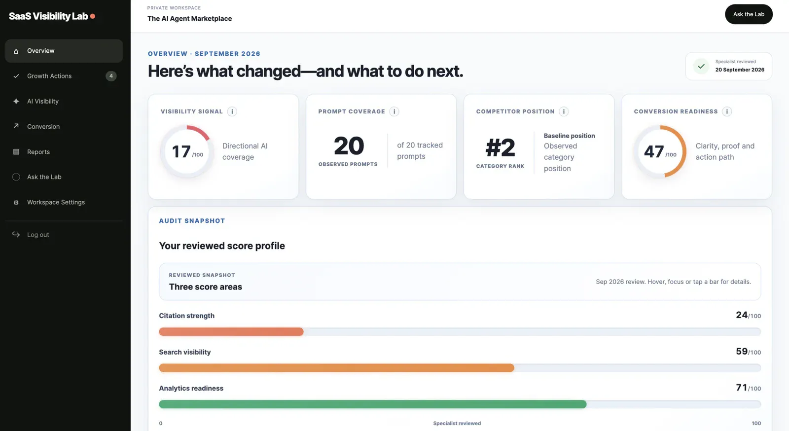 SaaS Visibility Lab screenshot 2