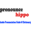 Pronunciation guide