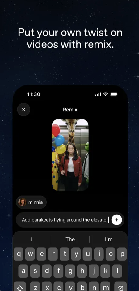 Sora 2 gallery image