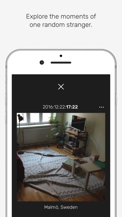 Minutiae gallery image