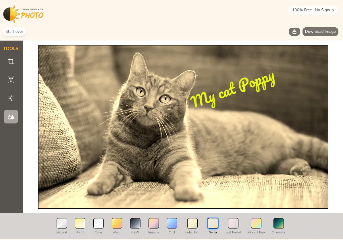 Your Perfect Photo Free Image Editor gallery image