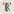 Tripreview