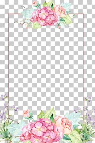 PNGOcean: gratis PNG cliparts descargar gallery image