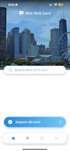 New York Laws gallery image