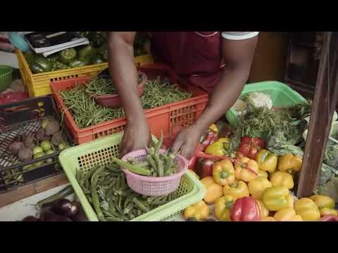 Netagrow gallery image