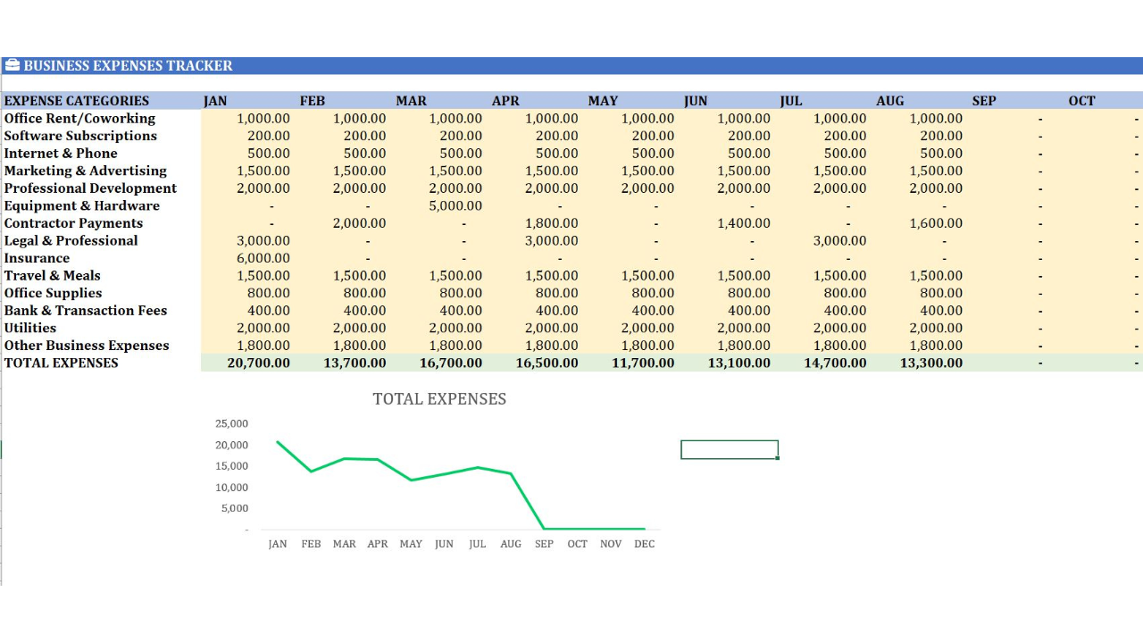 Mídia 3 de Solopreneur Success Tracker Professional - Painel financeiro completo para solopreneurs