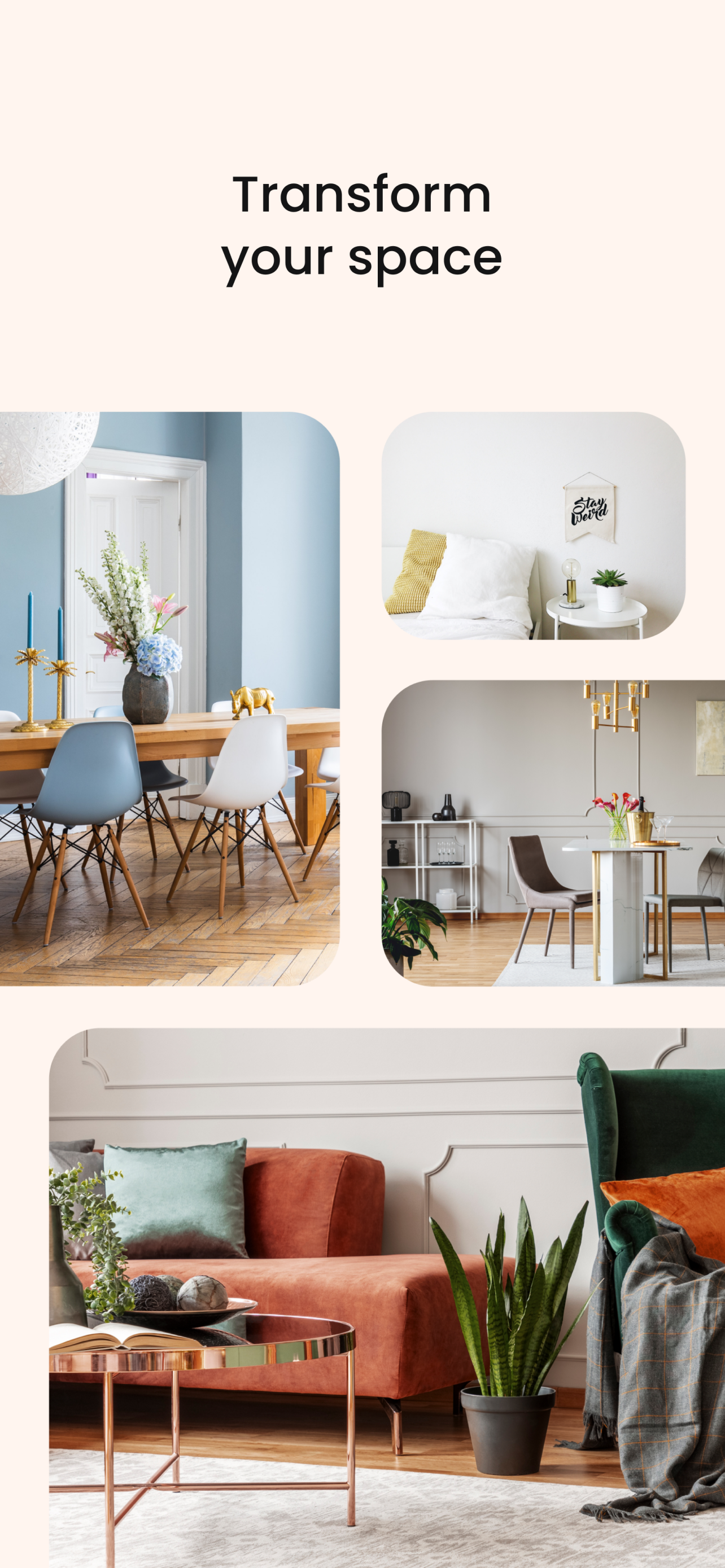 Apricot gallery image