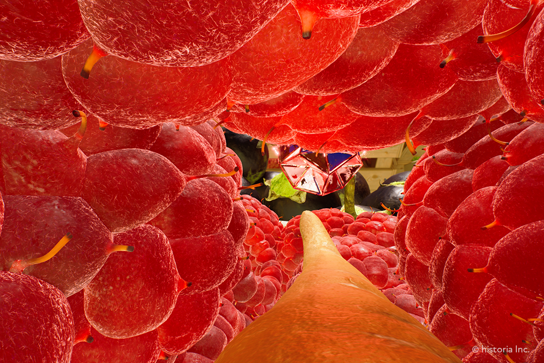 The Market of Light gallery image