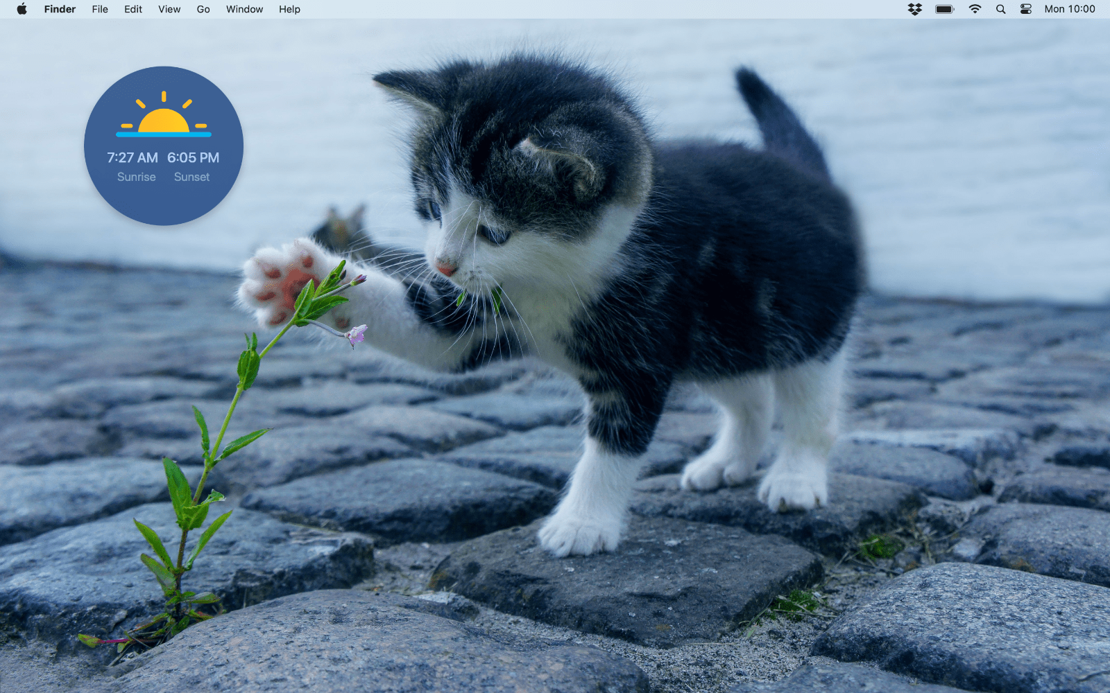 Hologram gallery image