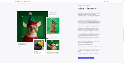lenso.ai gallery image