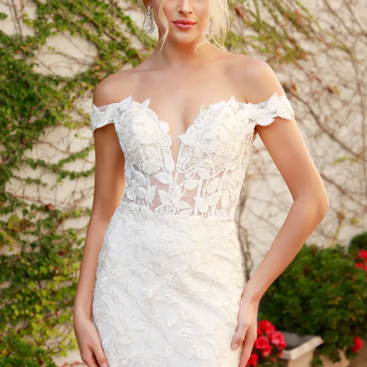 SheerDreamz gallery image