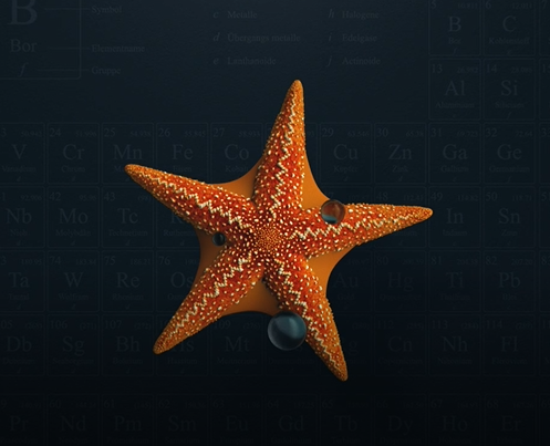 DE-ICER made of STARFISH? 