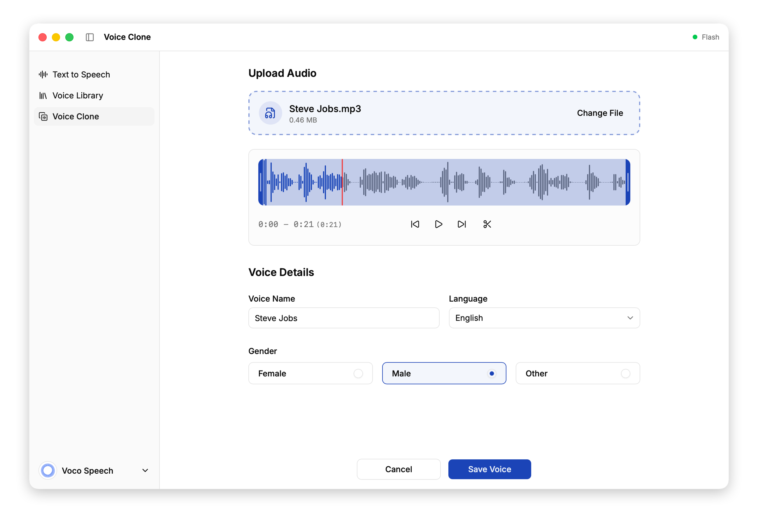Voco Speech gallery image
