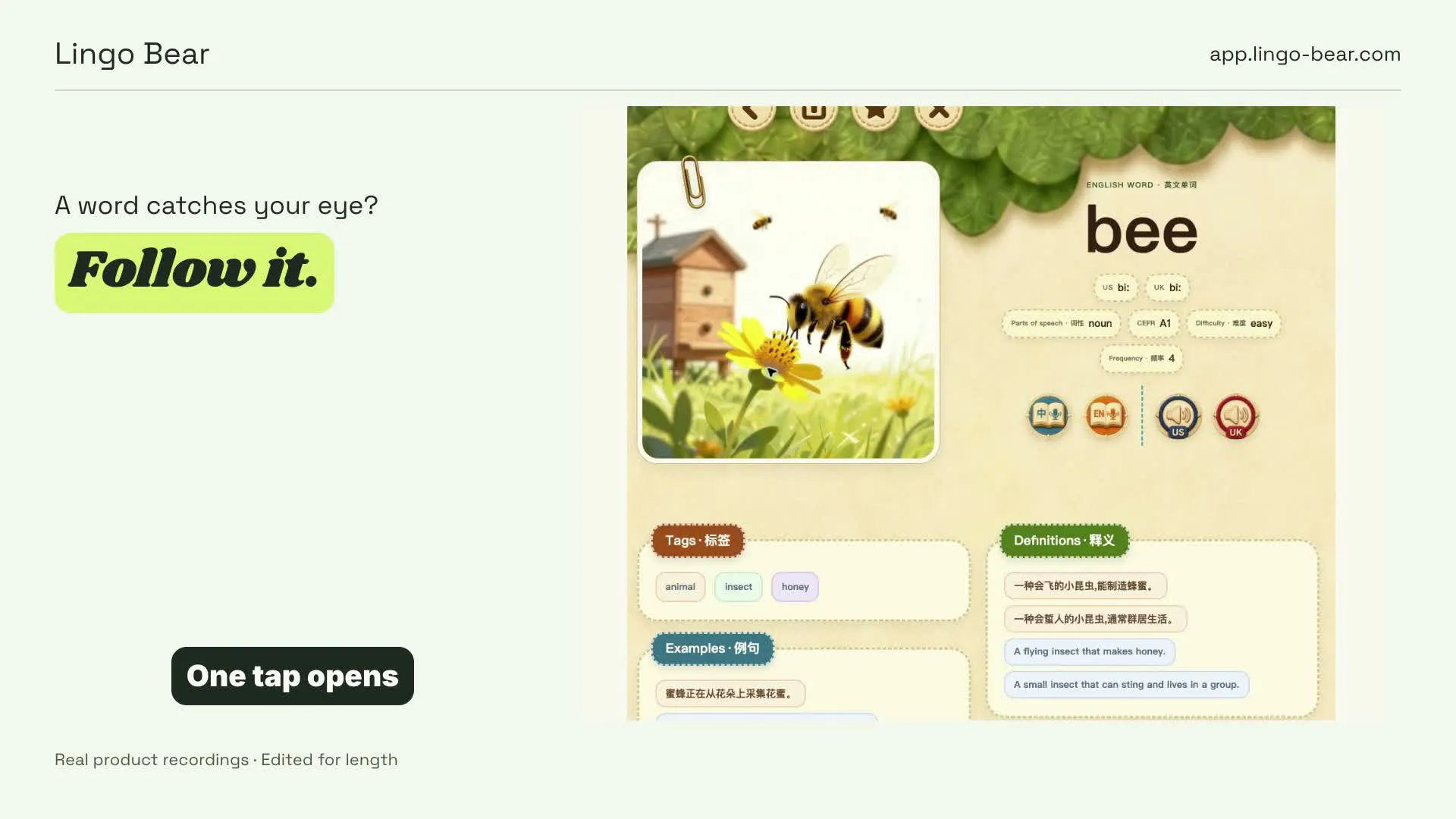 Lingo Bear gallery image