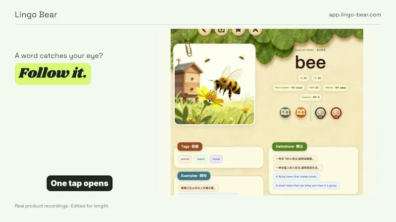Lingo Bear screenshot 6