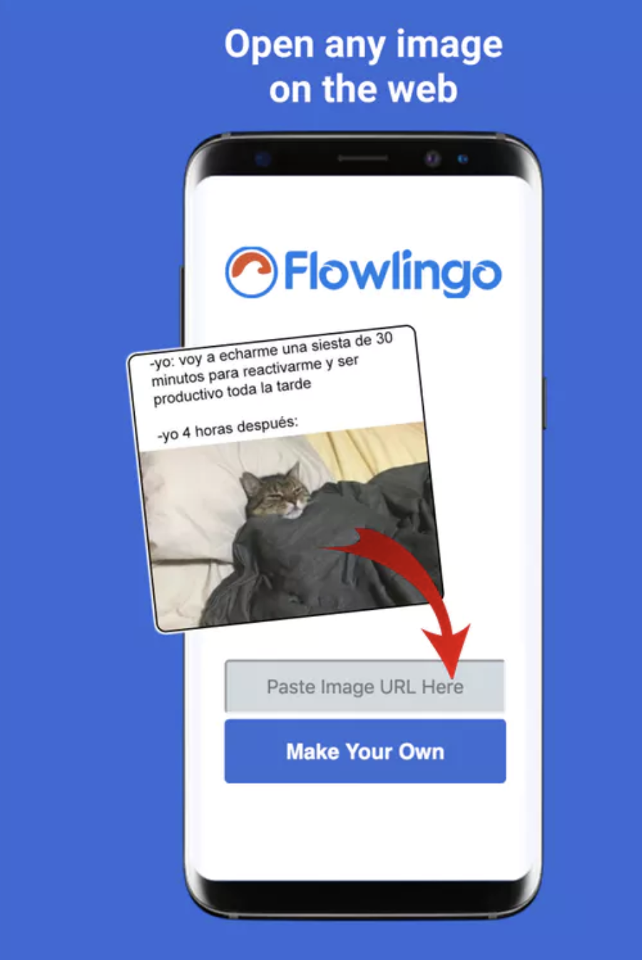 Flowlingo Image