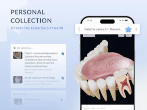 VOKA Anatomy Pro gallery image