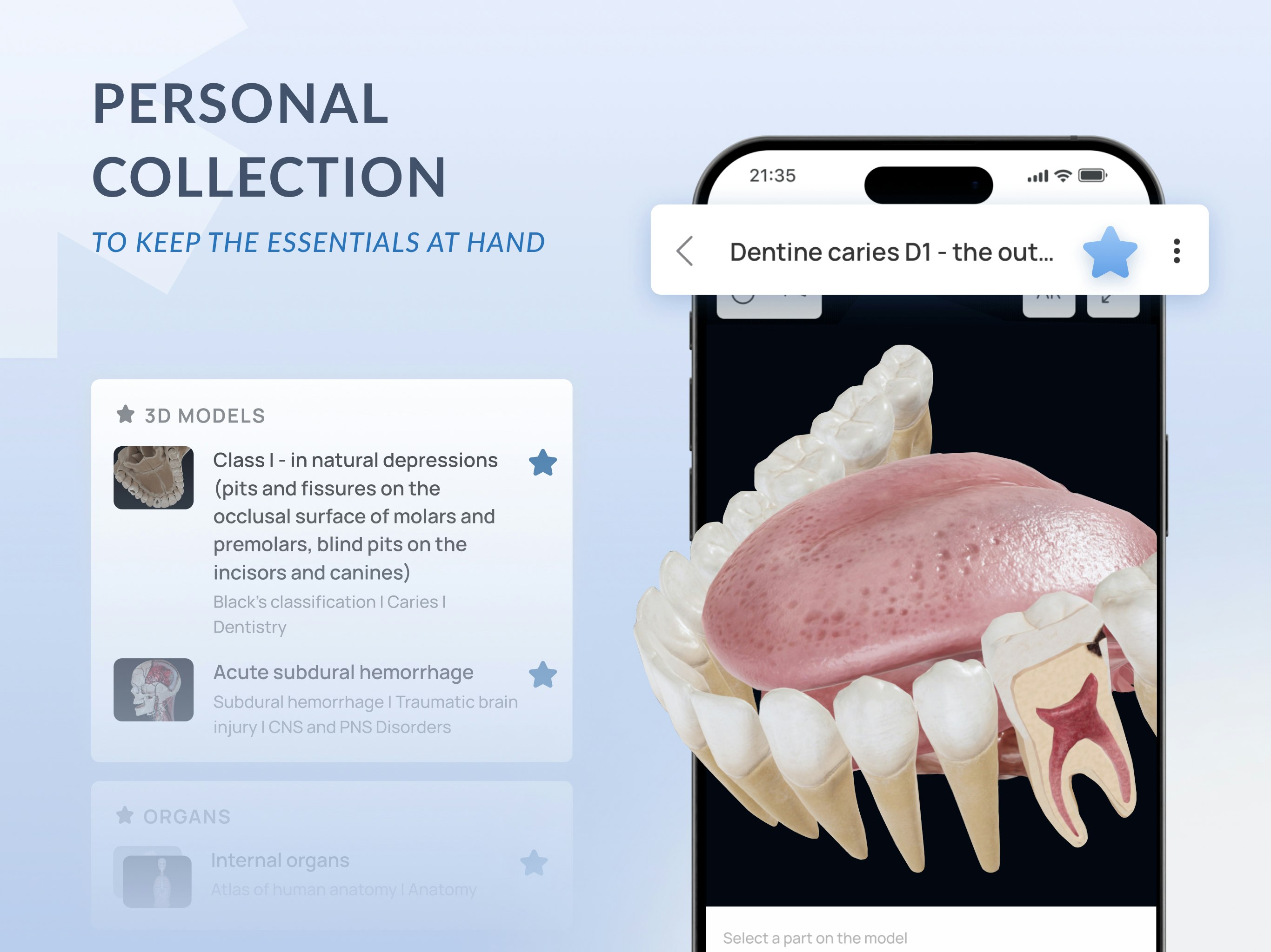 Media Voca Anatomy Pro 8