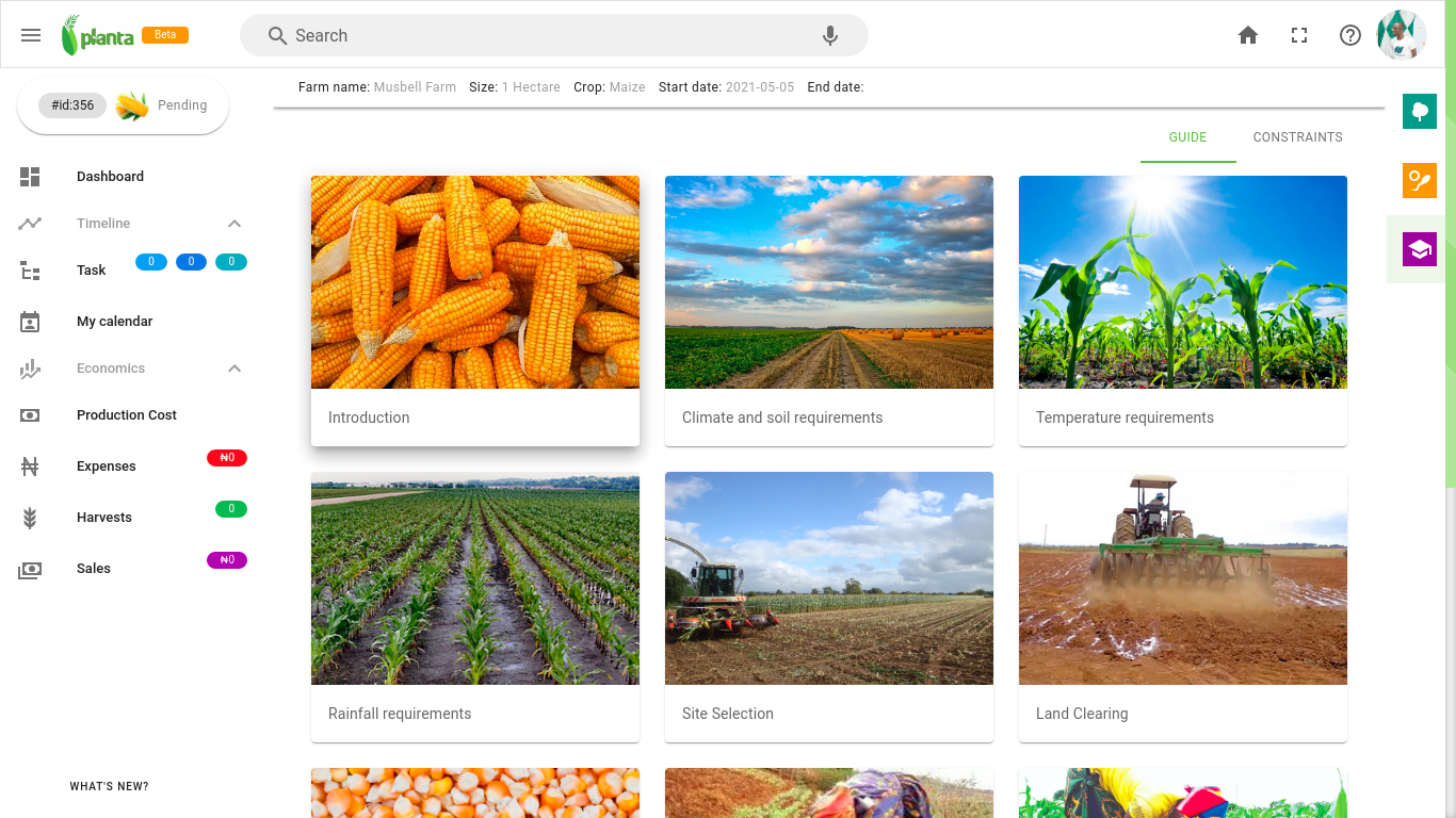 Planta gallery image