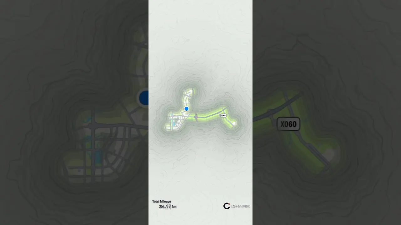 Life in Mist gallery image