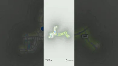 Life in Mist gallery image