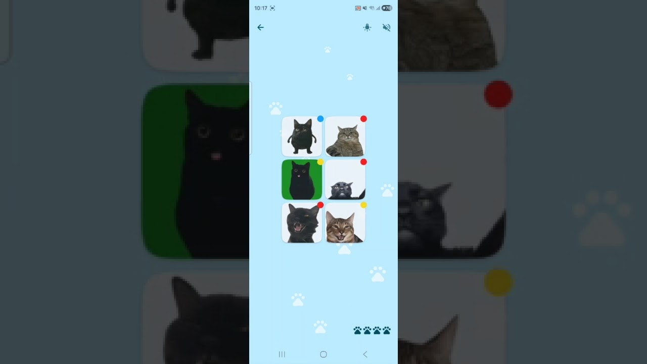 Cat Memory gallery image