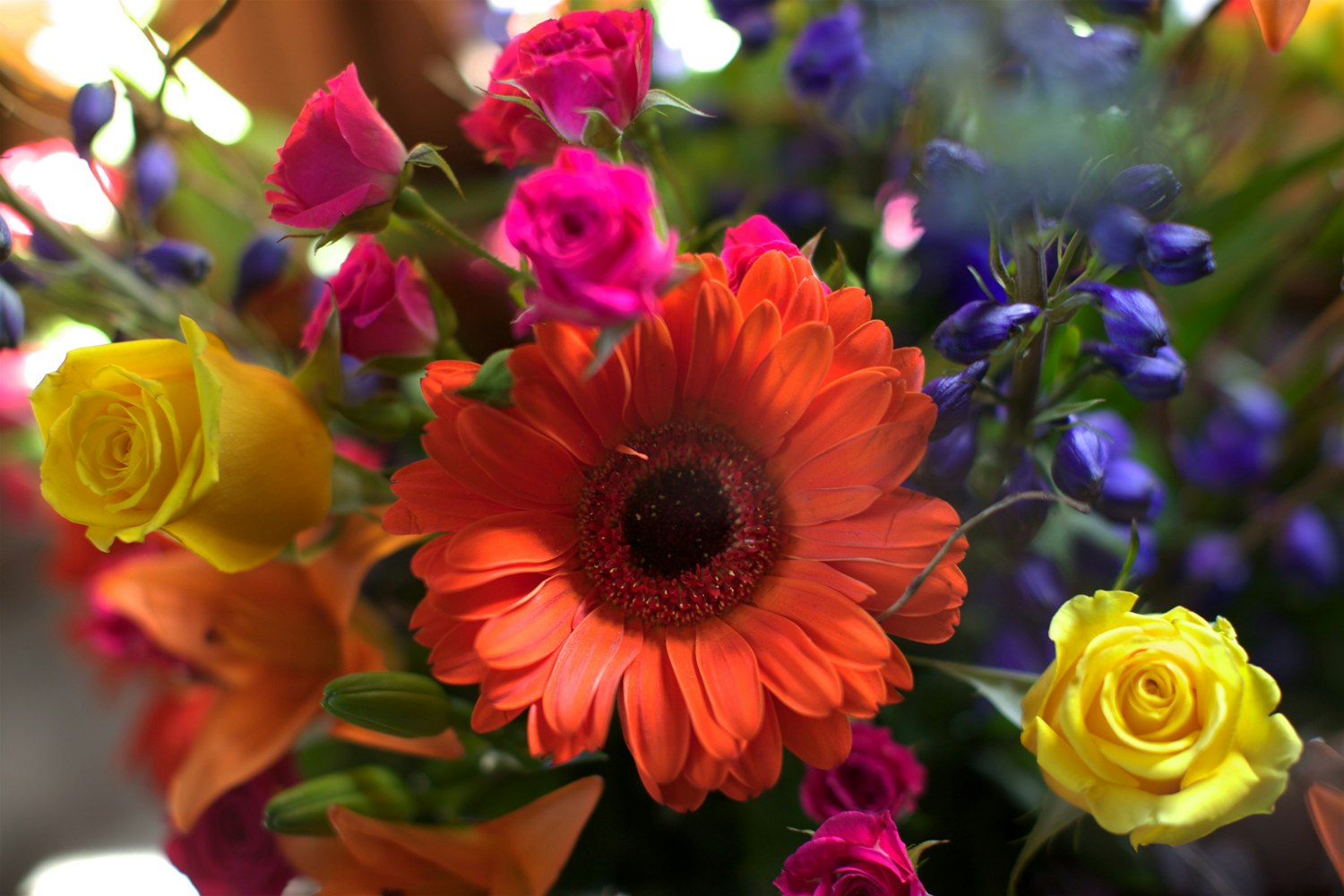 Ace Blooms gallery image