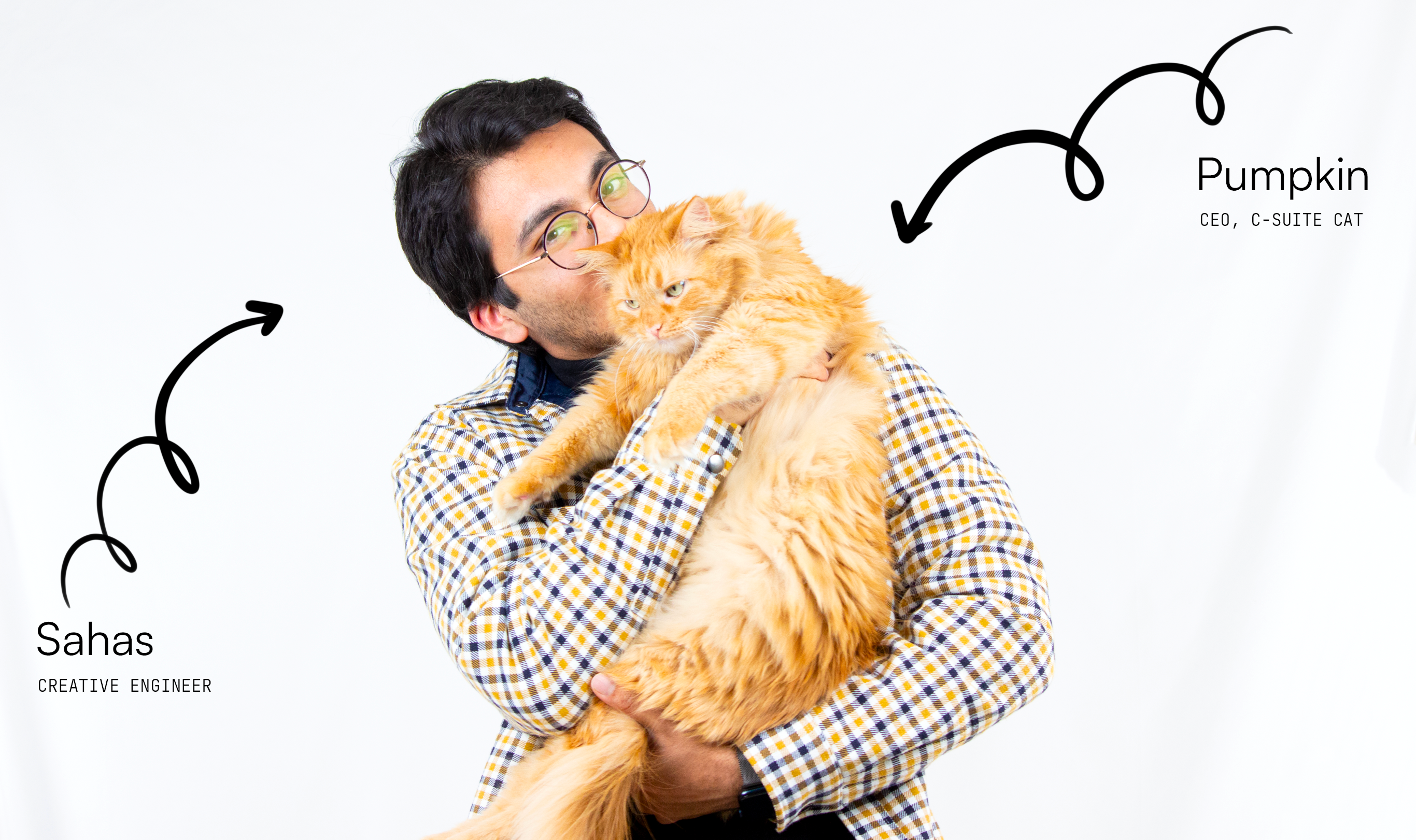 FindMycat - 長いバッテリー、サブスクリプションなしメディア7